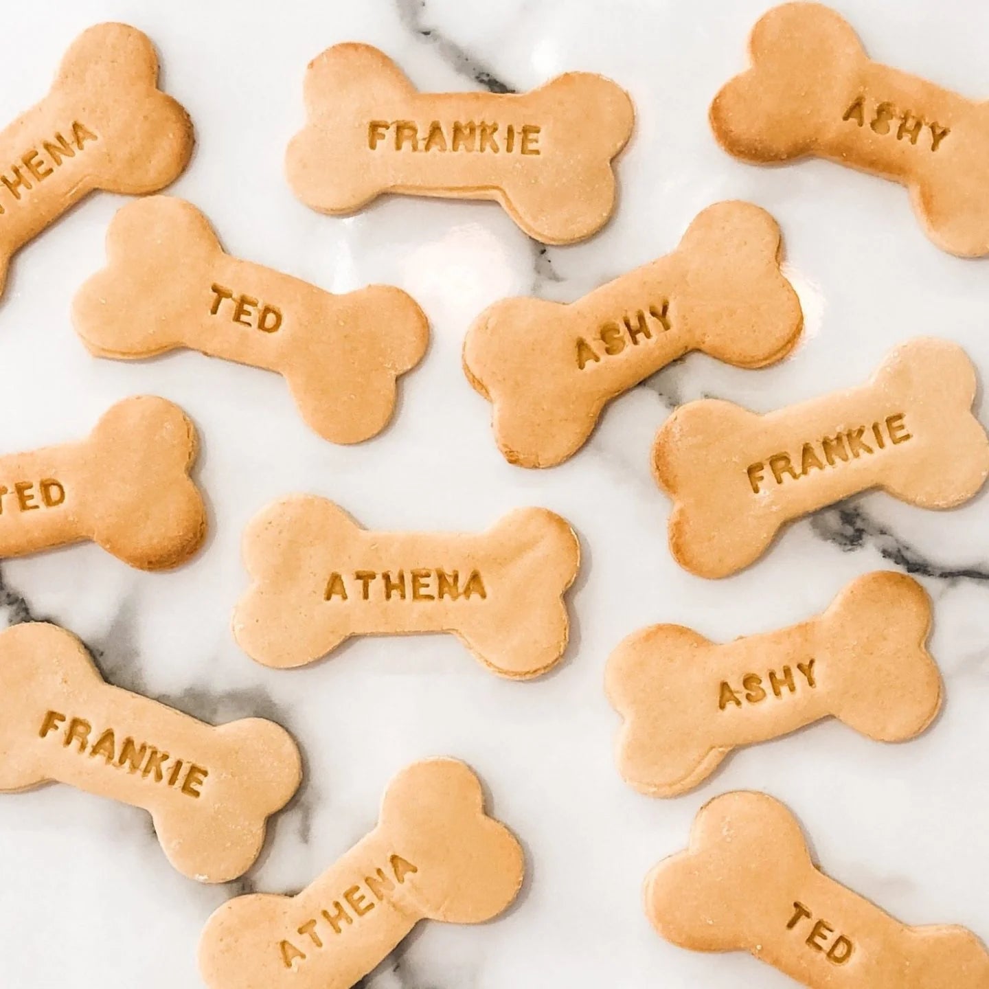 Doggy Baking Co Personalise it Yourself Biscuit Kit