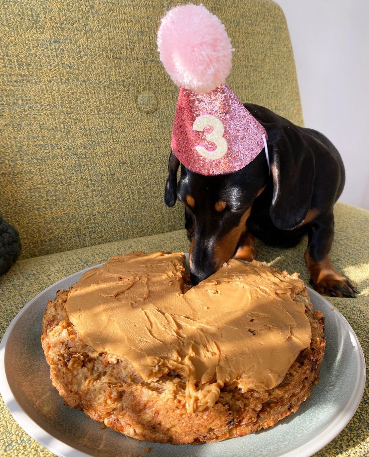 Dog Birthday Cake Party Bundle