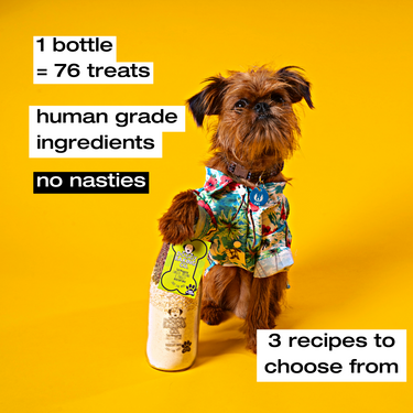 Tail-Wagging Linseed, Oregano & Parsley Doggy Biscuit Baking Mix in a Bottle 750ml - Baking Mix - Bottled Baking Co